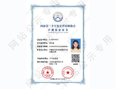 注册职业证书——翟怡童