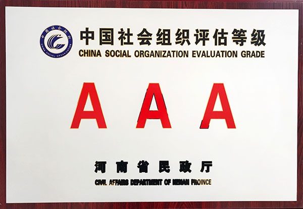 中国社会组织评估等级