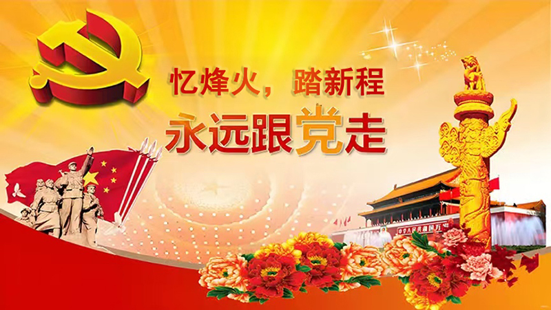 党建引领，聚力前行——协会党建新征程系列（5）