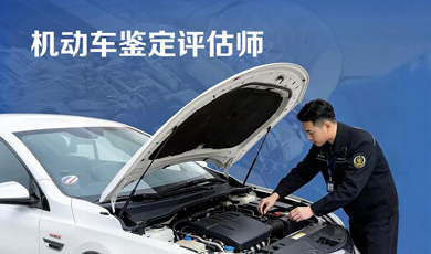 职业介绍