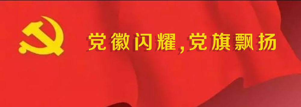 党旗党徽-1.png