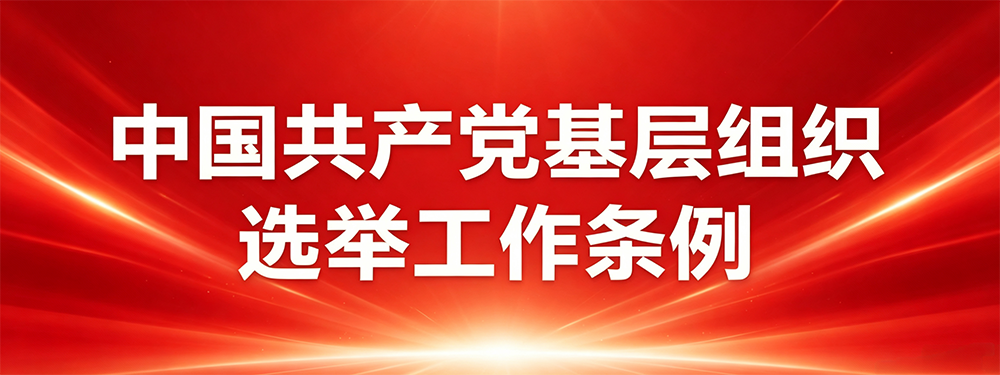 基层选举-1.png